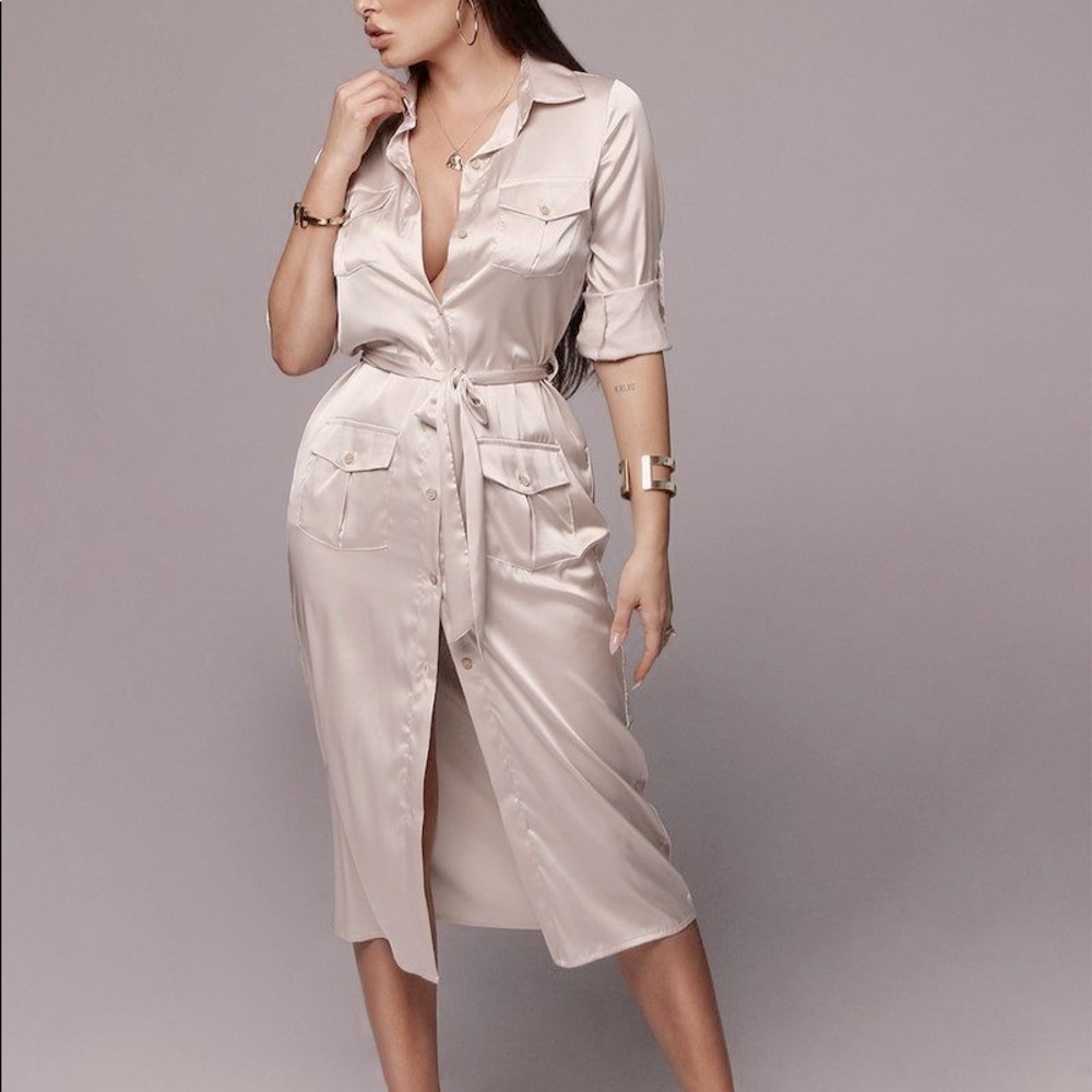 NWT Hazelnut Dawn Silk Shirt Dress in Large
